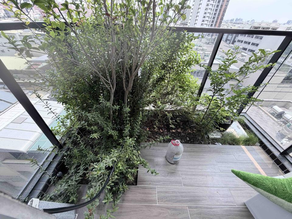 園藝設計案件圖片