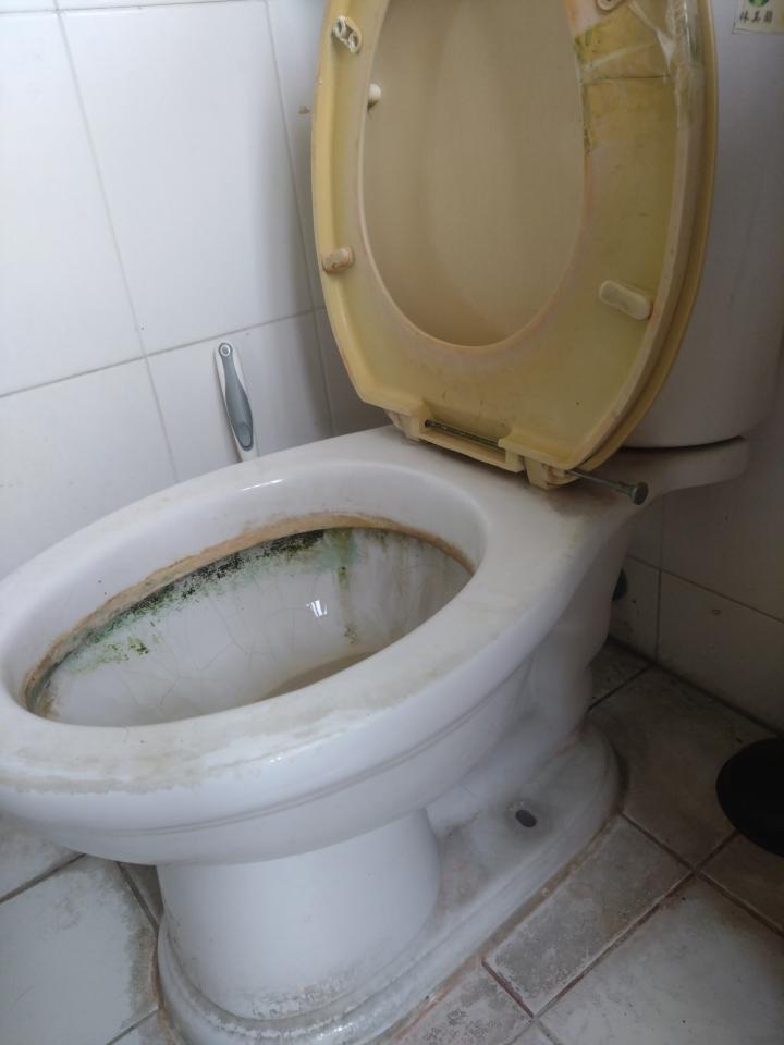 馬桶裝修案件圖片