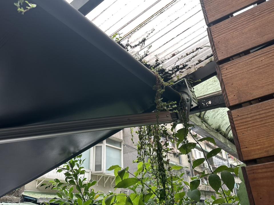 園藝維護案件圖片