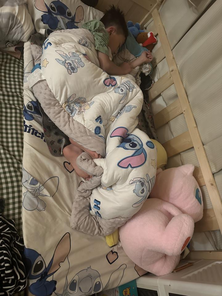 大型垃圾回收案件圖片