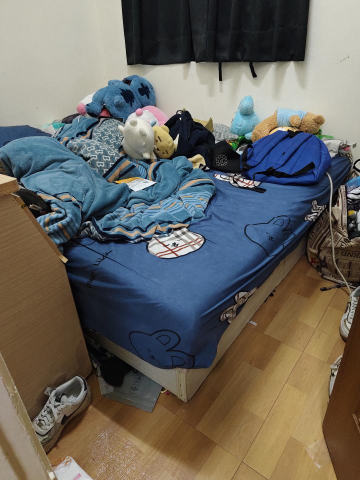 大型垃圾回收案件圖片