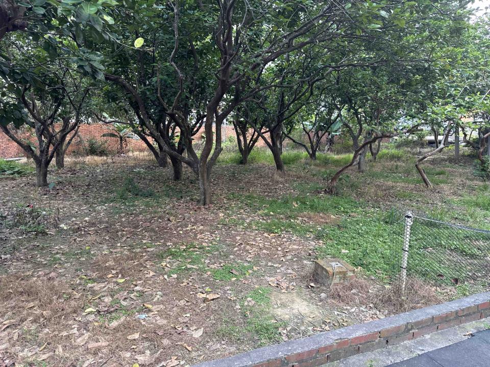 園藝維護案件圖片