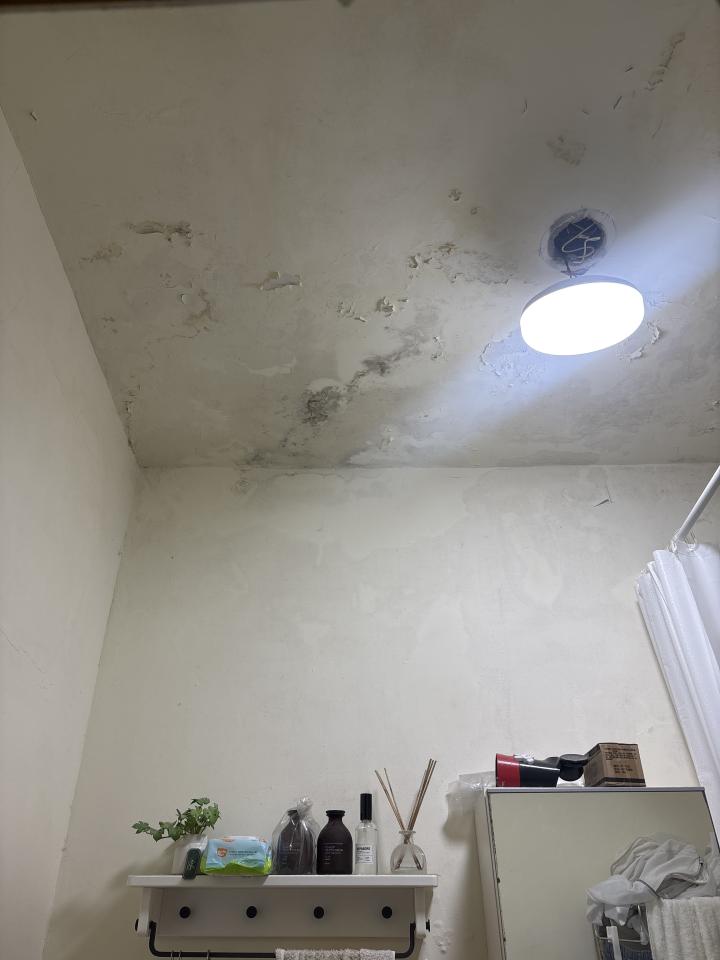 屋頂防水案件圖片