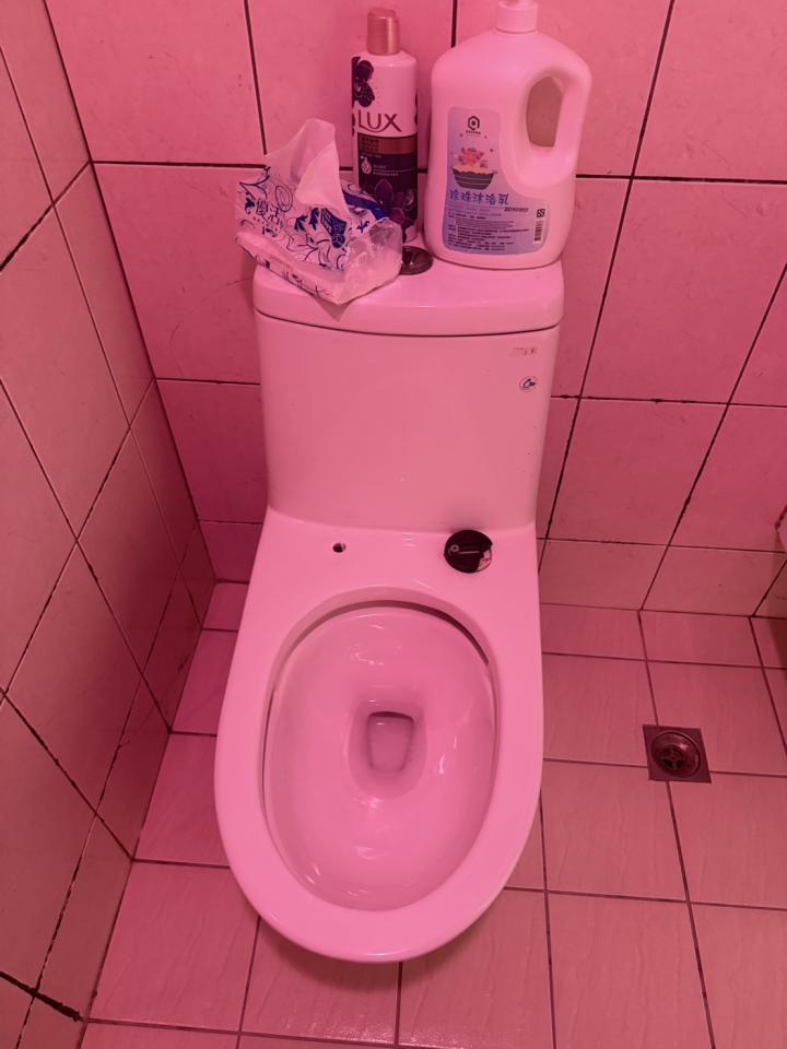 馬桶裝修案件圖片