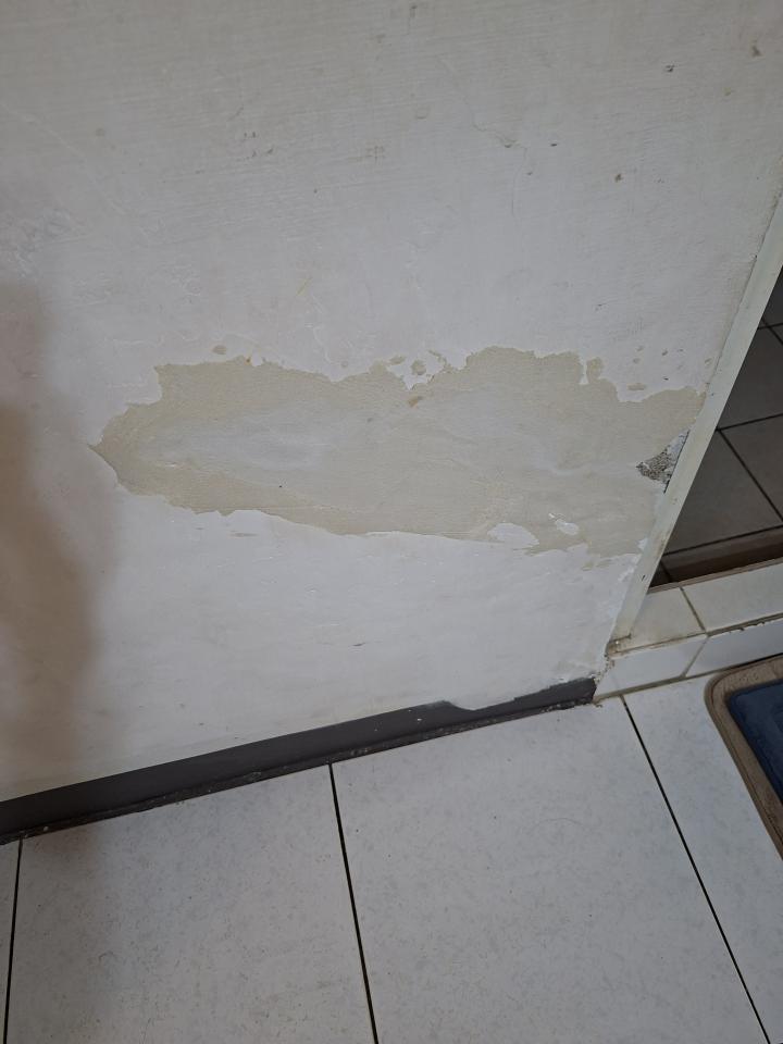 壁癌處理案件圖片