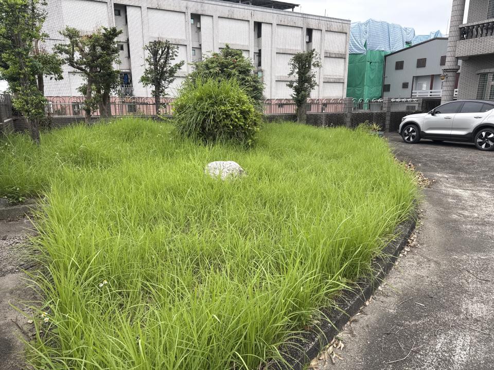 園藝維護案件圖片