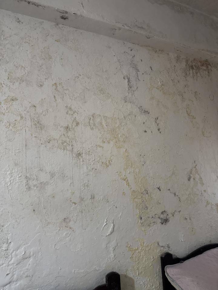 壁癌處理案件圖片