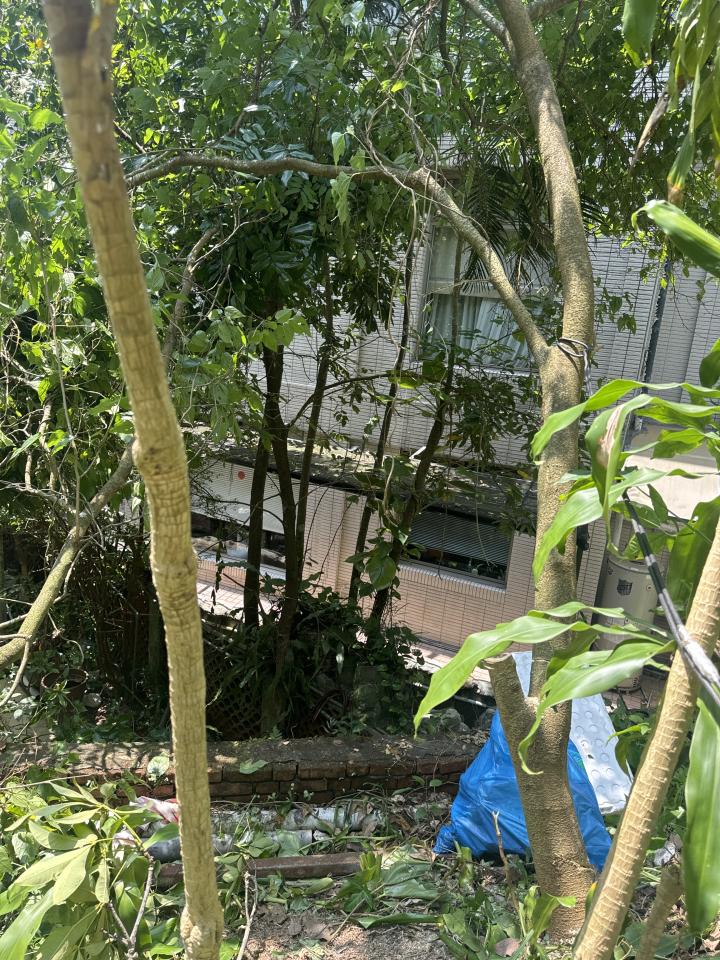 園藝維護案件圖片