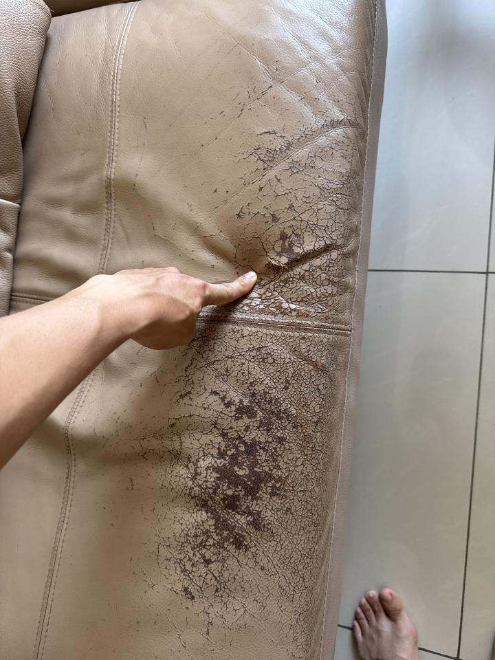 沙發修理案件圖片