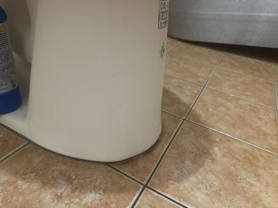 馬桶裝修案件圖片