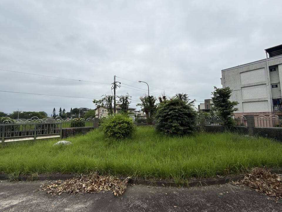 園藝維護案件圖片