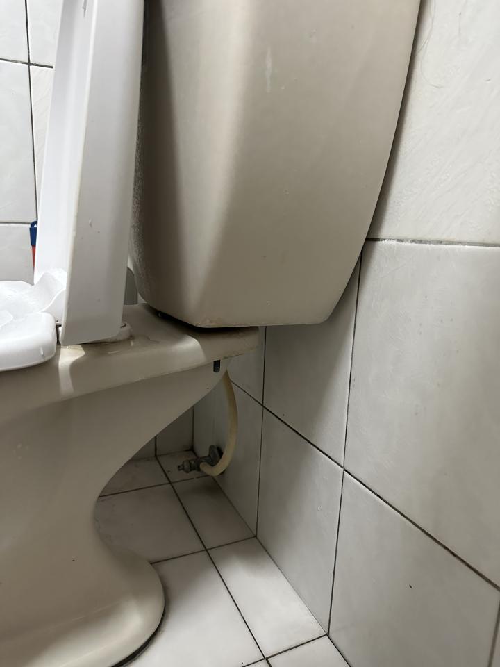馬桶裝修案件圖片