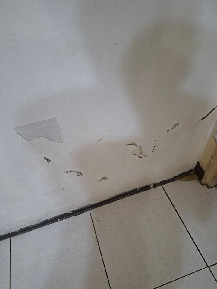 壁癌處理案件圖片