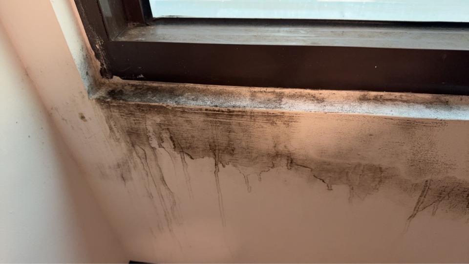 壁癌處理案件圖片