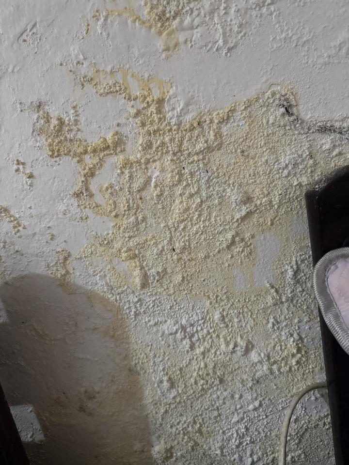 壁癌處理案件圖片