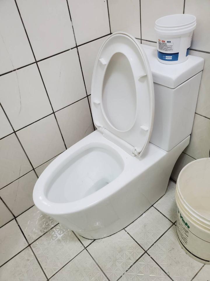 馬桶裝修案件圖片