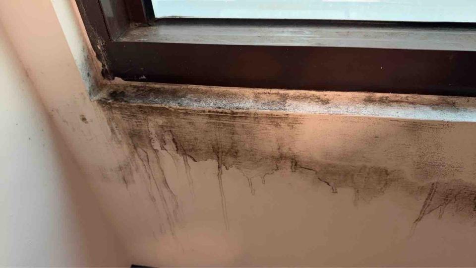 油漆工程案件圖片