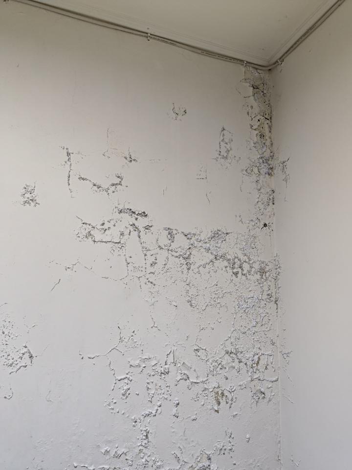 漏水處理案件圖片