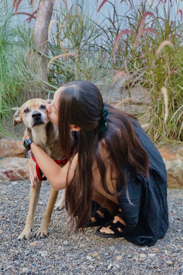 客製化油畫案件圖片