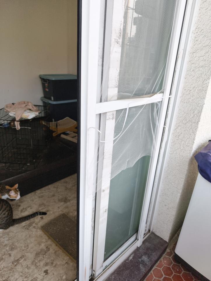 紗窗裝修案件圖片