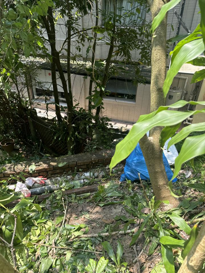 園藝維護案件圖片