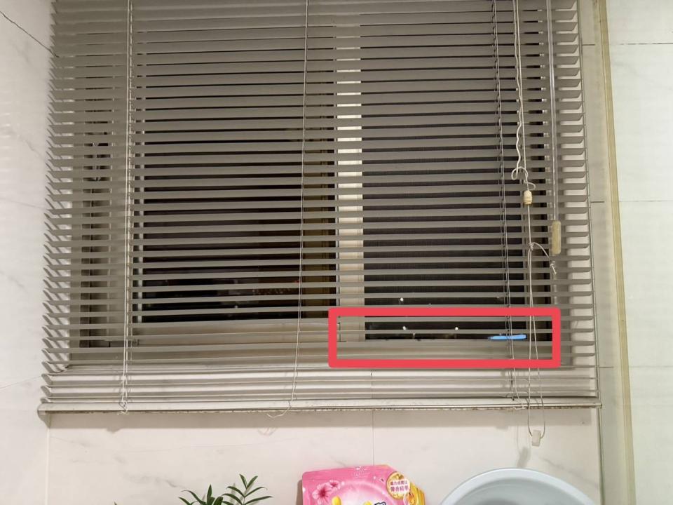 紗窗裝修案件圖片