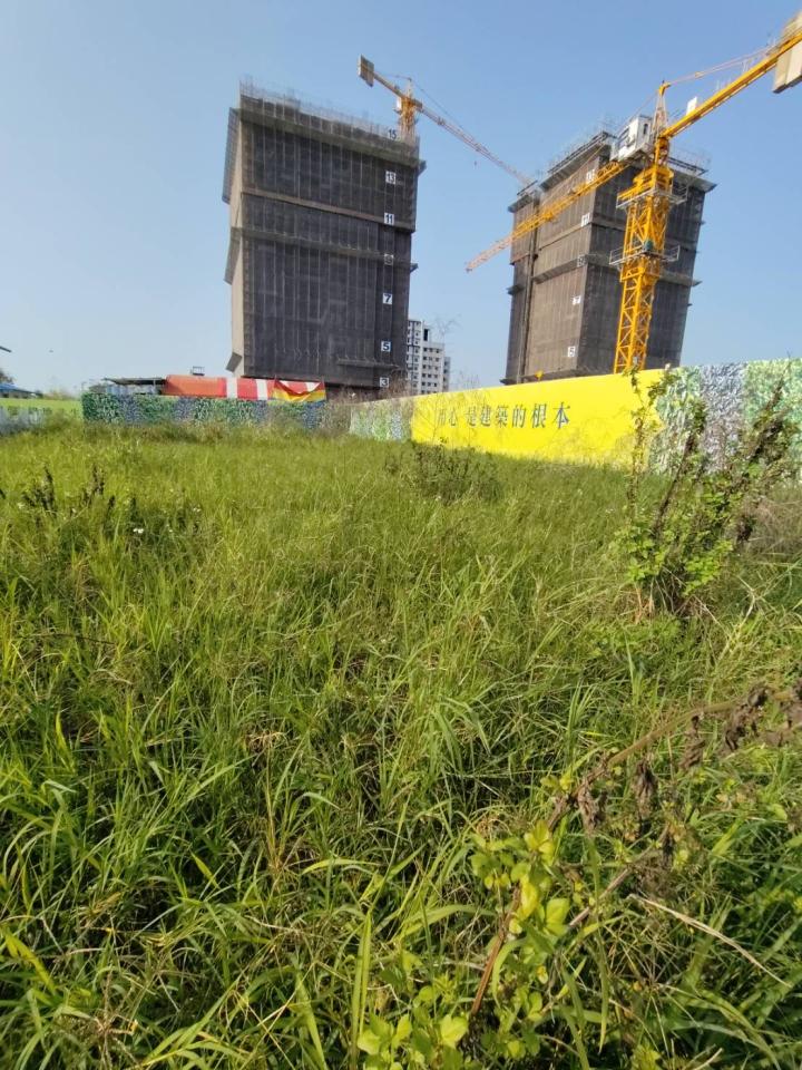 園藝維護案件圖片