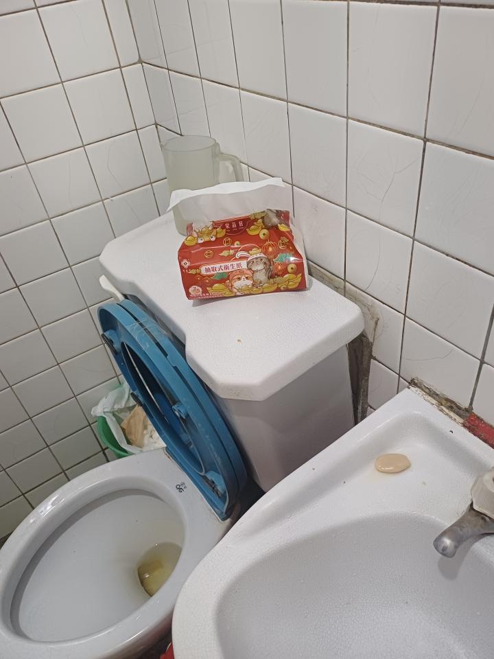 馬桶裝修案件圖片