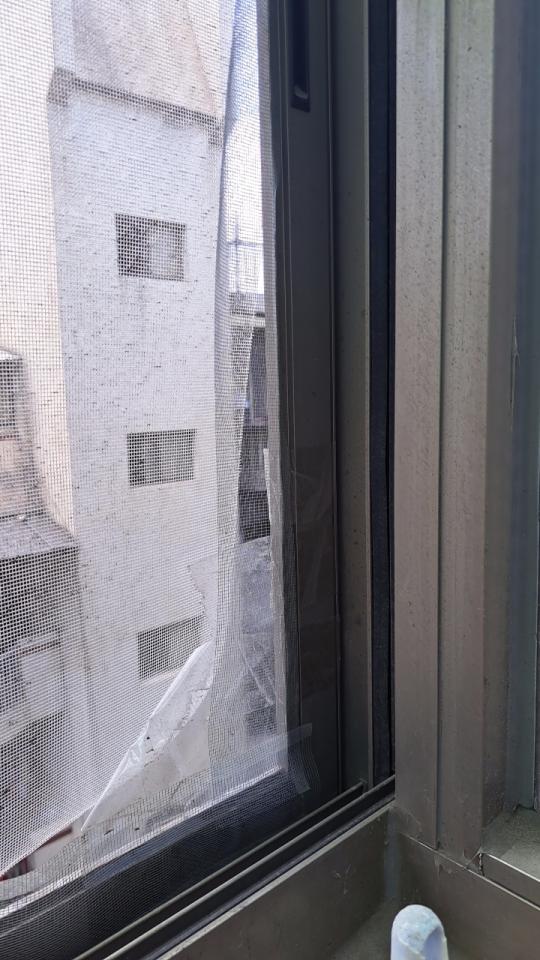 紗窗裝修案件圖片