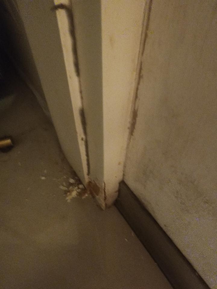 水電行案件圖片