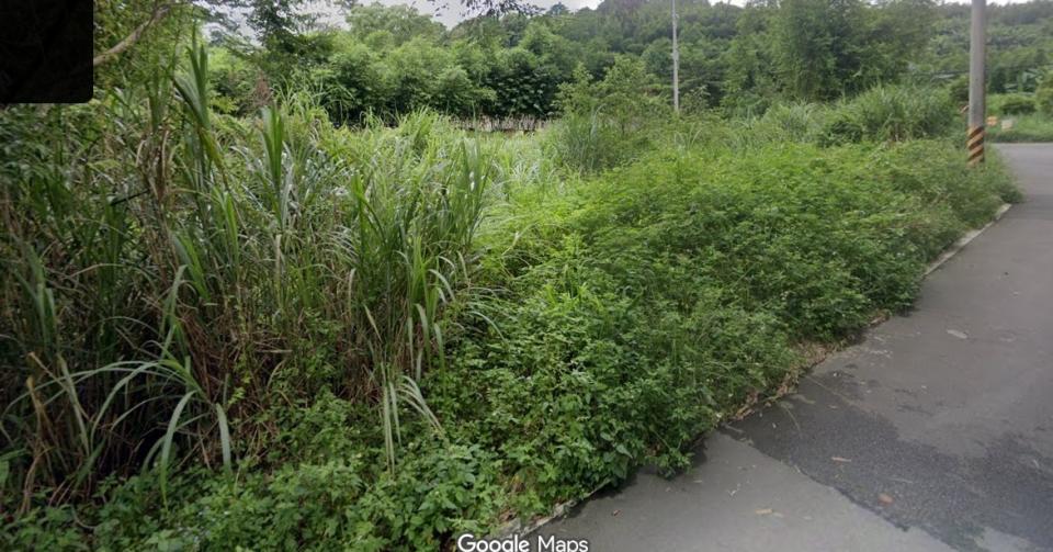 園藝維護案件圖片