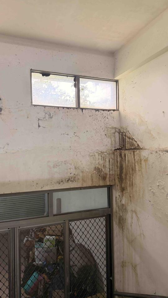 漏水處理案件圖片