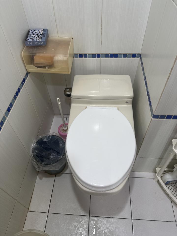 馬桶裝修案件圖片