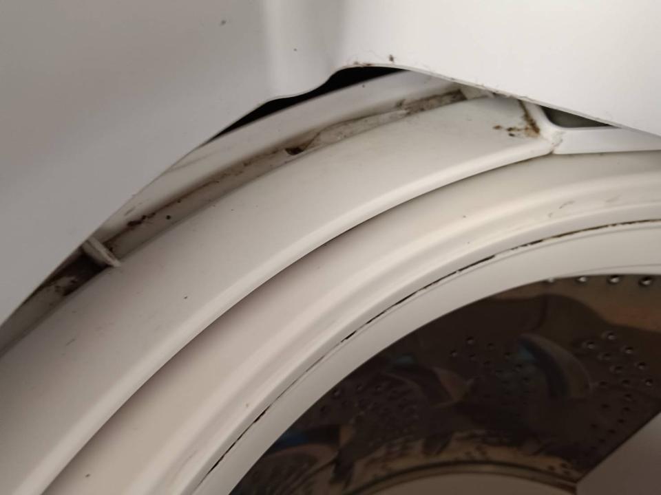 洗衣機清洗案件圖片