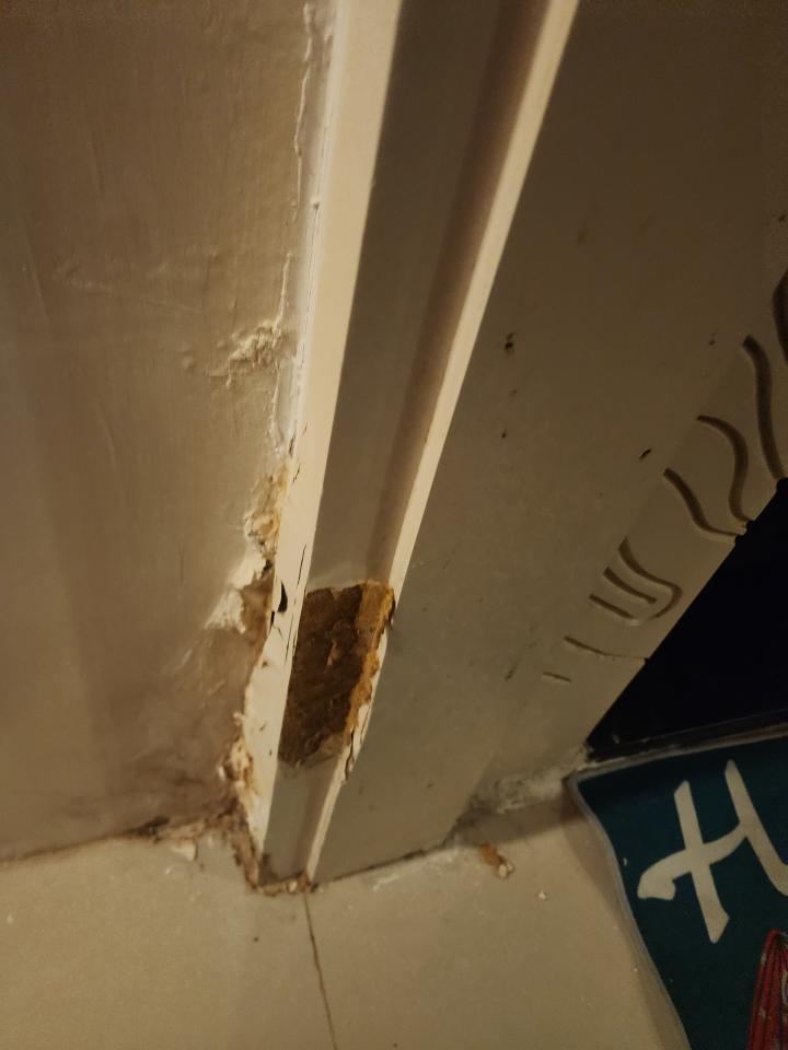 水電行案件圖片