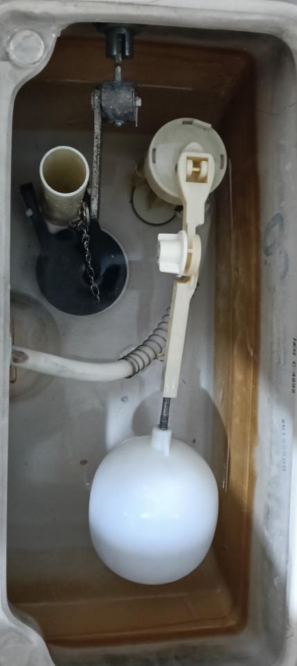 馬桶裝修案件圖片