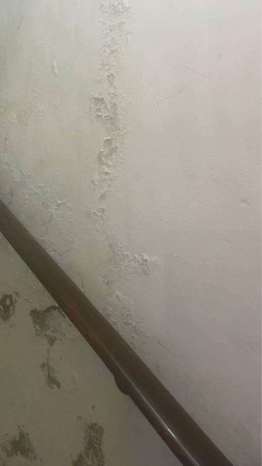 壁癌處理案件圖片