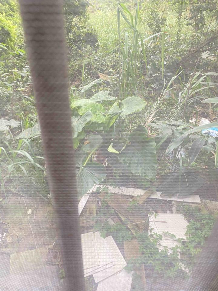 泥作/水泥施工案件圖片