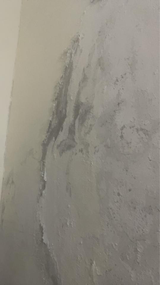 壁癌處理案件圖片