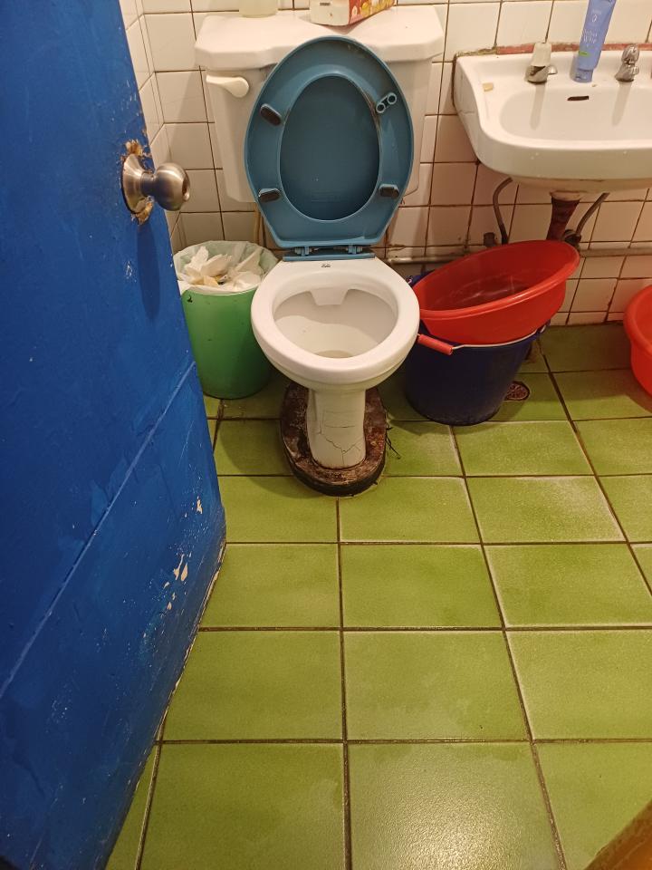 馬桶裝修案件圖片