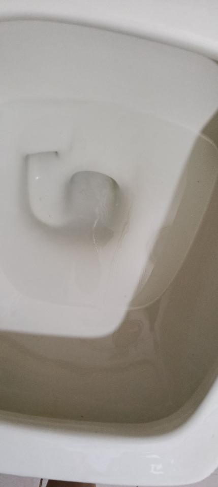 馬桶裝修案件圖片