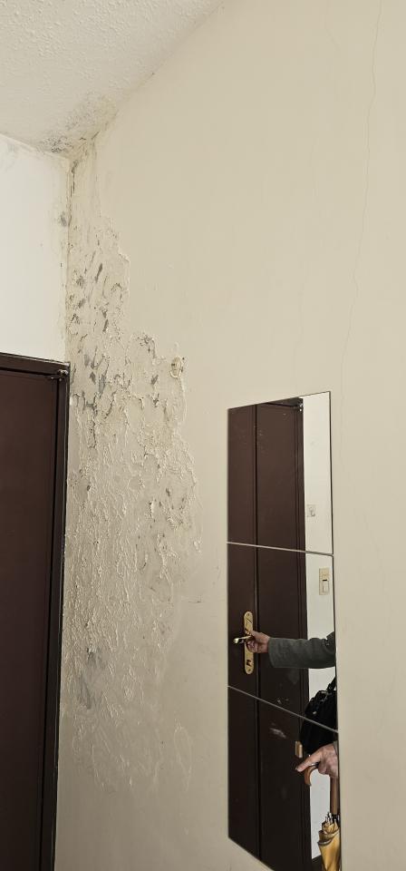 漏水處理案件圖片