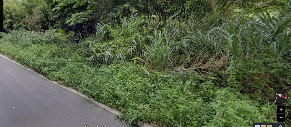 園藝維護案件圖片