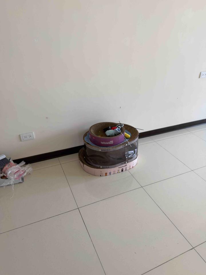 大型垃圾回收案件圖片