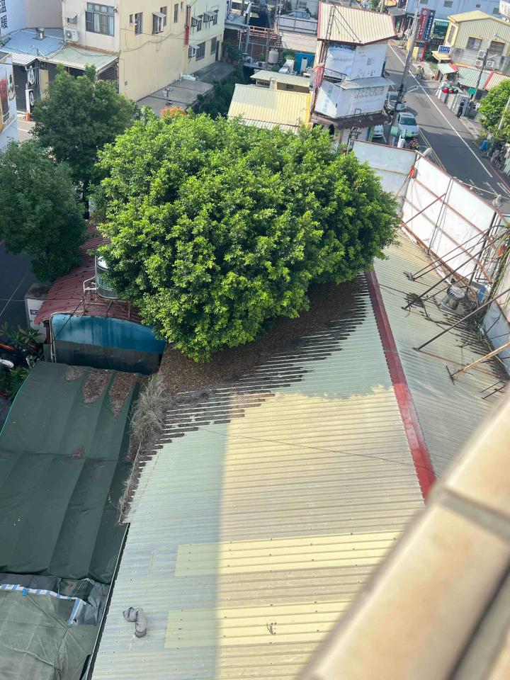 鐵皮屋頂案件圖片