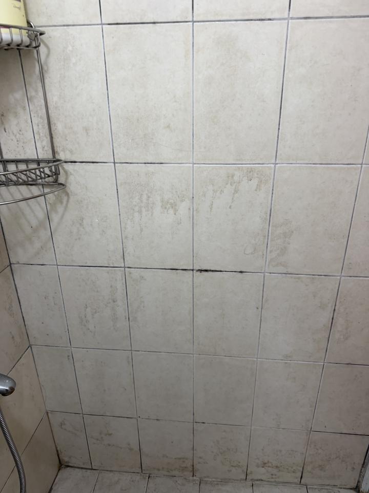 浴室翻新案件圖片