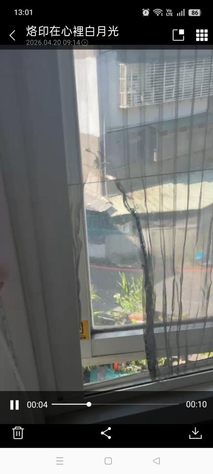 紗窗裝修案件圖片