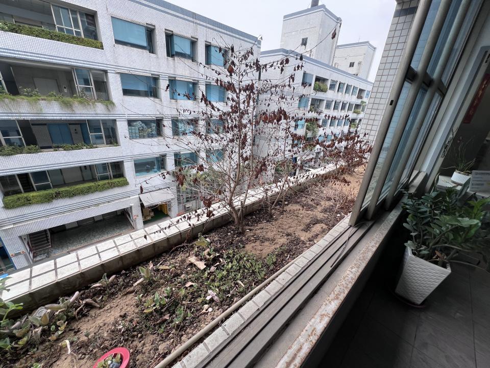 園藝維護案件圖片