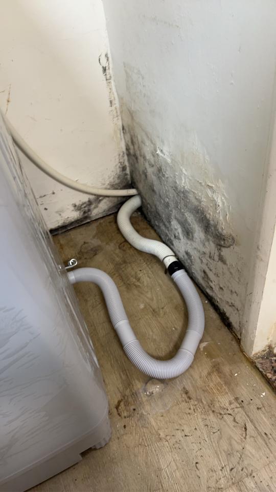 油漆工程案件圖片