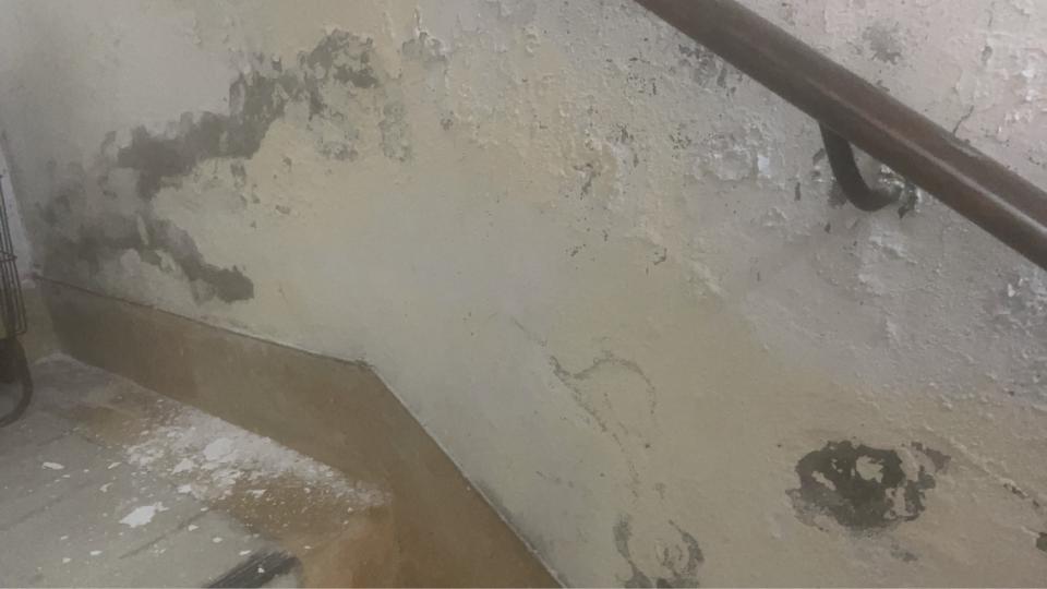 壁癌處理案件圖片